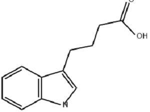 IBA structure diagram
