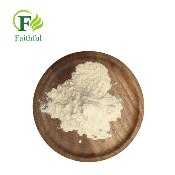Oxytetracycline Hydrochloride Powder CAS 2058-46-0 Oxytetracycline Hydrochloride Powder CAS 2058-46-0